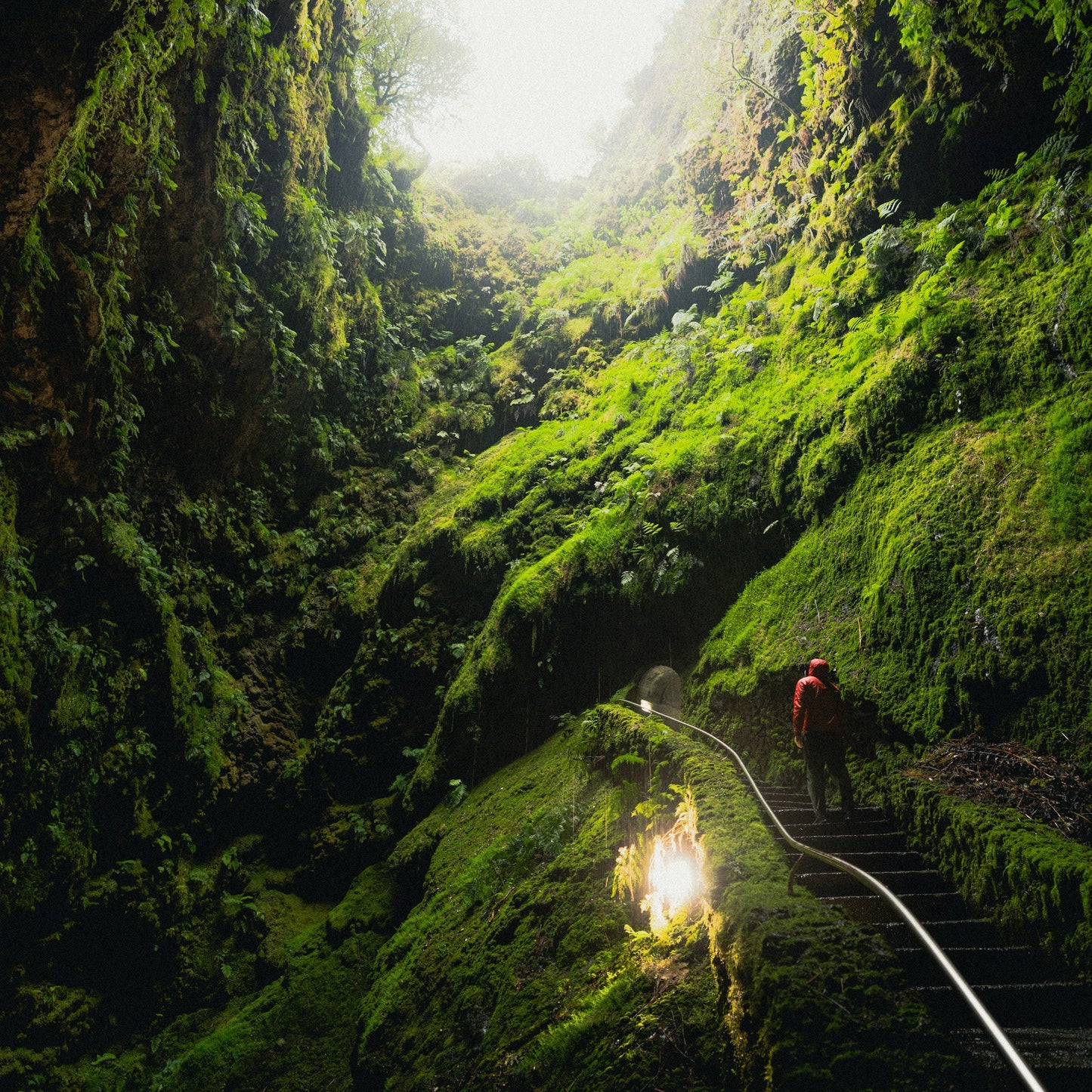 Gesundheit, Entgiftung & Besonderheiten